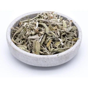 Słonecznik w ofercie Midex Herbs