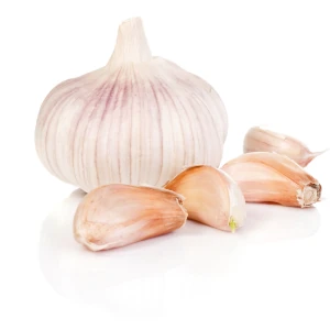 Świeże ząbki czosnku. Oferta Midex Herbs