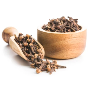 Goździk w misce. Oferta Midex Herbs