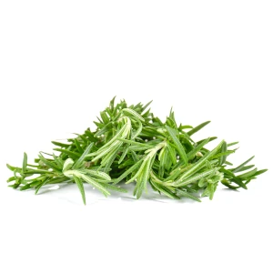 Świeży rozmaryn - zioła i przyprawy Midexu